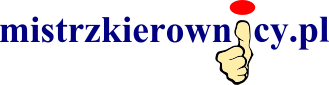 MistrzKierownicy.pl - Szkoła Nauki Jazdy Lublin